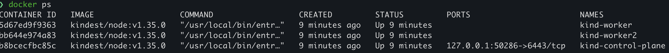 docker ps output showing kind-control-plane, kind-worker and kind-worker2 containers
