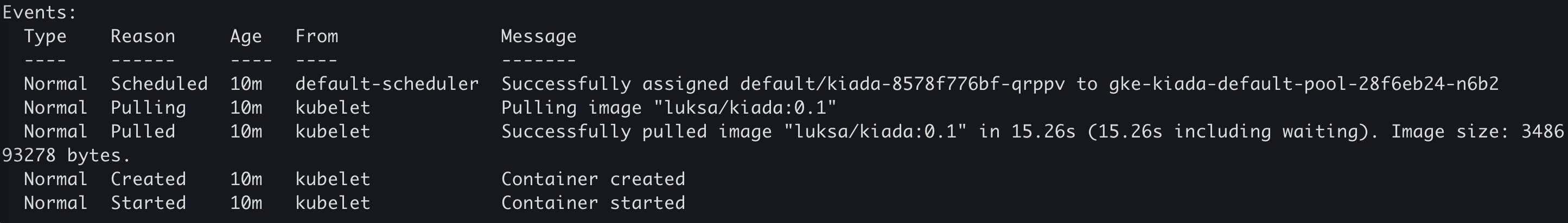 kubectl describe pod events showing the pod being scheduled, the image pulled, and the container started