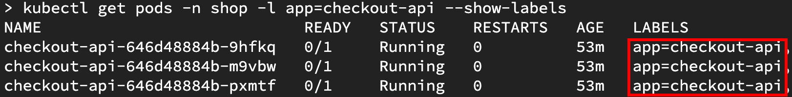 kubectl get pods output showing all three checkout API pods labelled app equals checkout-api