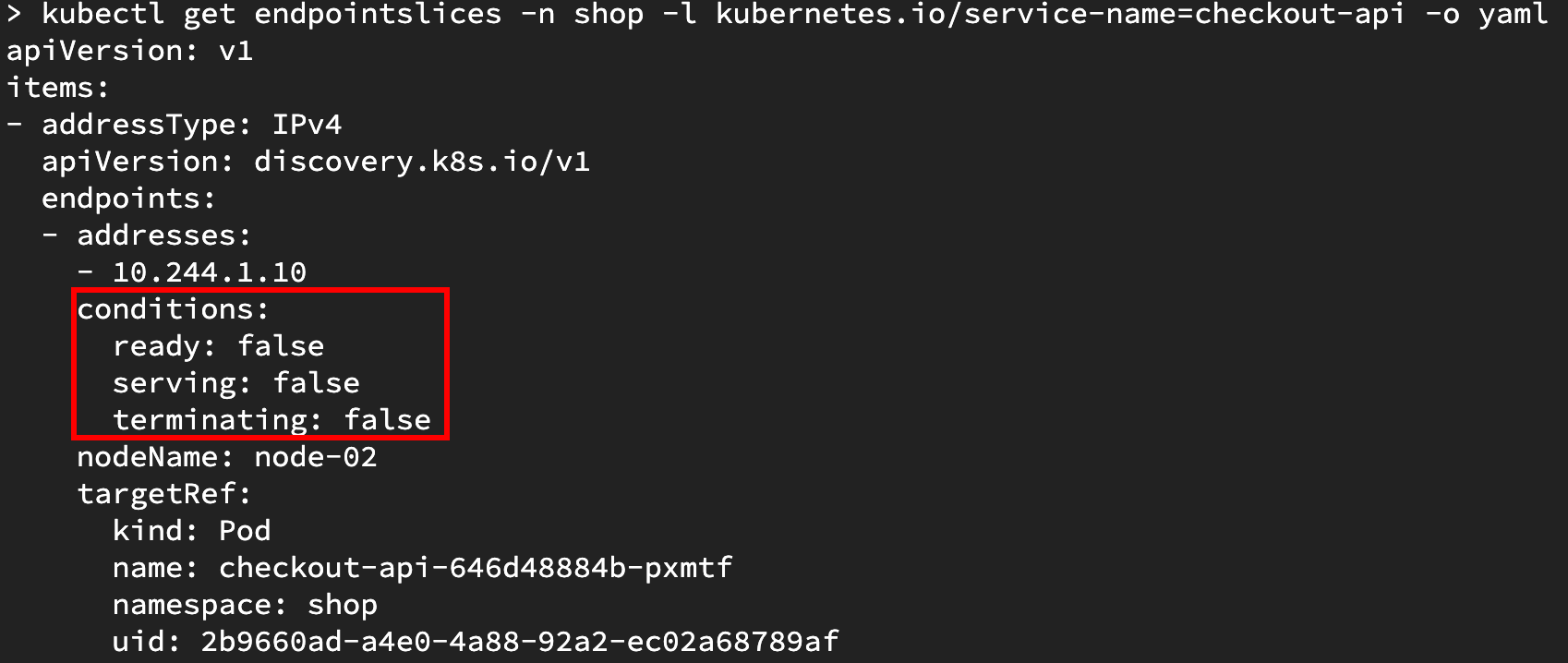 Checkout service endpoint slice output showing a selected pod endpoint with ready and serving conditions set to false